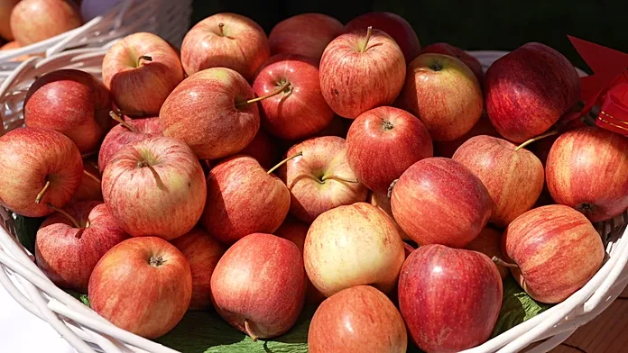 Is Kazakhstan the birthplace of apples? Here’s how the fruit spread across the world